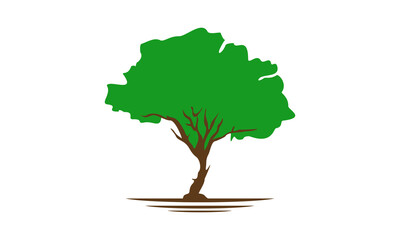 Nature tree illustration vector design