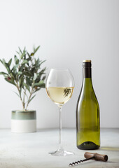 Bottle and glass of white wine and corkscrew on light background with plant.