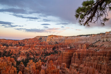 bryce canyon in warmem licht