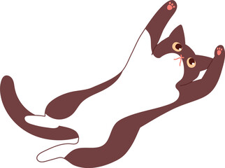 누워있는 고양이