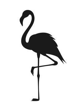recommend clip art: Black silhouette of flamingo standing on one leg isolated on white background. Vector illustration