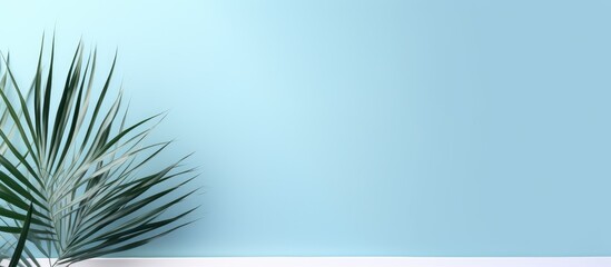 Minimal abstract background for product presentation, featuring a blurred shadow from palm leaves