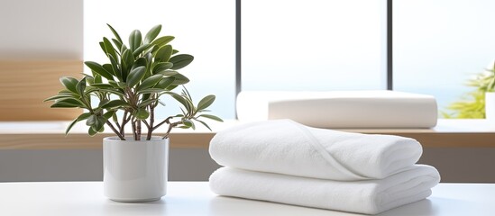 Space for copy, with a white tabletop featuring white towels and a houseplant