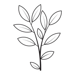 Bay Leaf Flower Graphic Sketch Drawing Outline Style