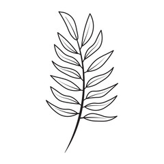 Fern Leaf Flower Graphic Sketch Drawing Outline Style