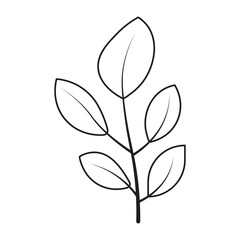 Lemon Leaf Flower Graphic Sketch Drawing Outline Style