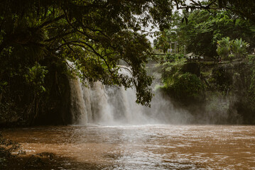 Mena Falls waterfall in the rainforest