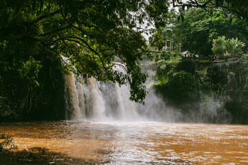 Mena Falls waterfall in the rainforest