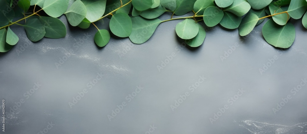 Aufkleber green eucalyptus leaves arranged on a stone table with a frame made of eucalyptus branches. captured