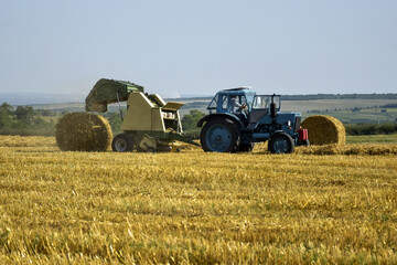Obraz premium Tractor forming bales of straw. Farmland with blue sky. Harvested wheat field in summer. Copy space. Close-up. Selective focus.