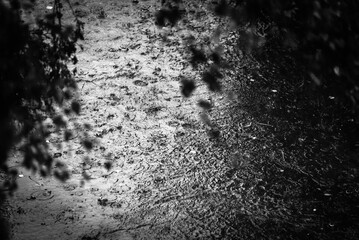 RAIN IN CITY - Drops of water fall on the wet pavement