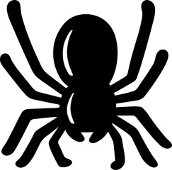 hand drawn illustration of spider.