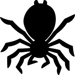 Obraz premium hand drawn illustration of spider.