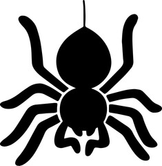 hand drawn illustration of spider.