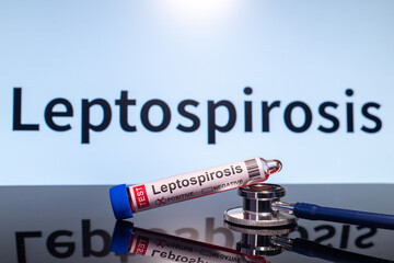Fototapeta premium Blood collection tubes Leptospirosis test positive results.Leptospirosis, also called Weil's disease, is an infection you can get from animals, soil or water.