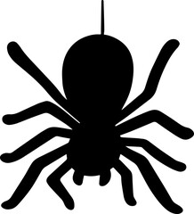 hand drawn illustration of spider.