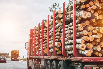 A timber truck transports logs along a highway. Rearview of a trailer full of wood logs....