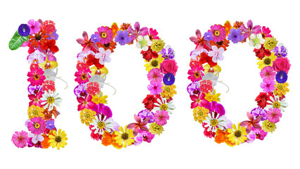 The shape of the number 100 is made of various kinds of flowers petals isolated on transparent background. suitable for birthday, anniversary and memorial day templates
