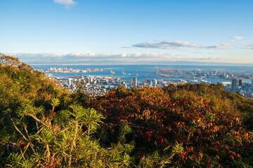 Kobe Mountaintop's Breathtaking Sea View