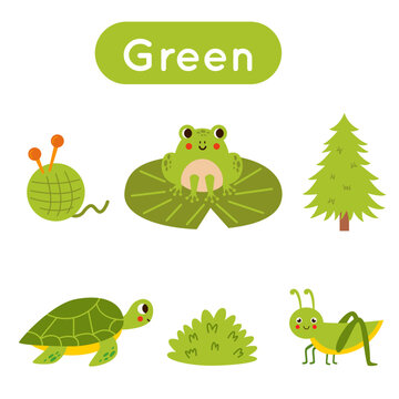 Learning colors worksheet for kids. Green color flashcard.