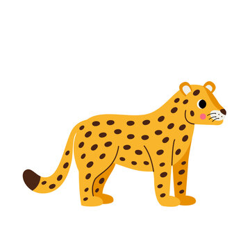 Vector picture of cute yellow cheetah isolated on white background.