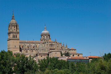 Fototapeta na wymiar Vista de la catedral de Salamanca
