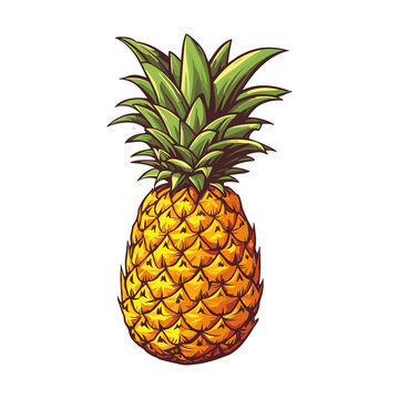 Pineapple Clipart, juicy fruit, pineapple illustration. Summer tropical party symbols.