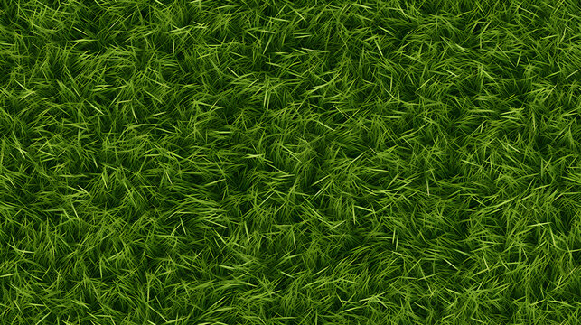 texture d'herbe vue de dessus - seamless