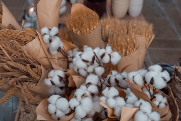 White fluffy cotton flowers background