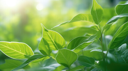 Fototapeta na wymiar Closeup shot of fresh green plant leaf growing in garden.Created with Generative AI technology.