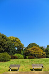 Fototapeta premium 緑生い茂る木々と二つのベンチの休憩所の風景2
