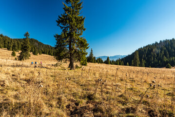 Stredna polana bellow Velky Choc hill summit in Chocske vrchy mountains in Slovakia © honza28683