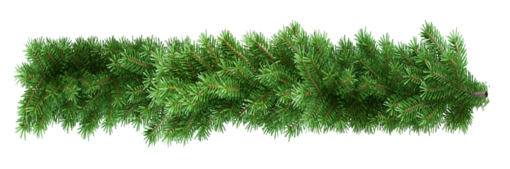 christmas tree branches	
