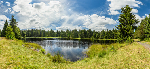panorama mountain lake in the forest