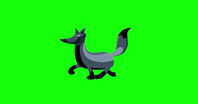 Fox silver cartoon animal character walking seamless loop greenbox. Funny animal animation useful for any project.