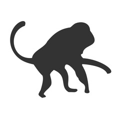 Vector illustration of monkey icon in dark color and transparent background(png).