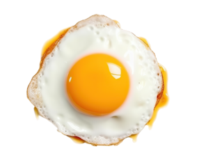 Fried egg top view. Ai. Cutout on transparent