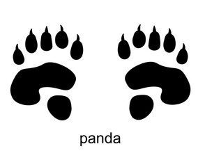 Panda track, Panda foot print. Bear paw step in black color. Black Silhouette Design. Vector © EVGENIY