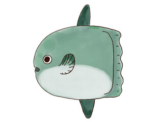 まんぼうのイラスト素材