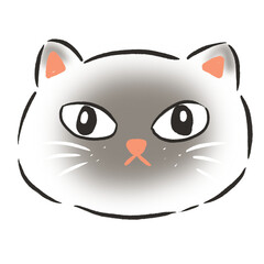 cat face