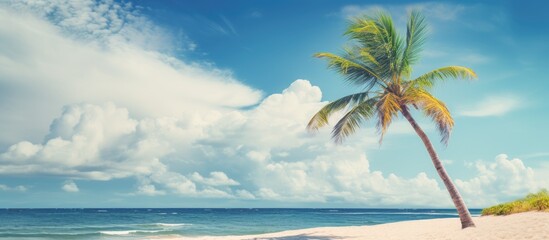 beach with a palm tree, a blue sky, and white clouds. It represents the concepts of summer vacation