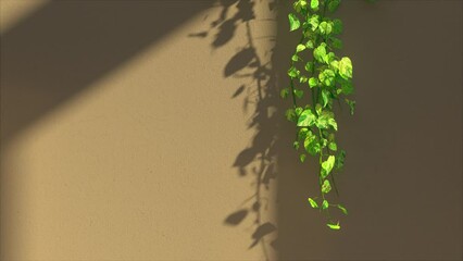 Growing Vines / Ivy plants with beautiful evening light in front of wall. Time lapse. Realistic Animation