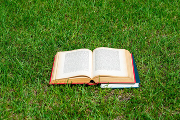 緑の芝生の上で読書をする風景