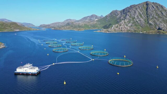 Norwegian aquaculture salmon fish farm 