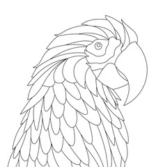 Macaw Outline Line Drawing Illustration. Parrot Outline Drawing Illustration. Macaw Vector. Parrot Vector. Birds Vector. Birds Outline. Parrot Outline.