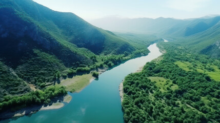 Obraz premium River in the green forest from a bird's eye view. 