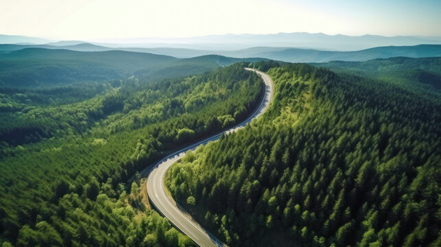 Road in the green forest from a bird's eye view. © July P