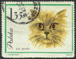 Poland, 1975: Polish postage stamp circa 1975 depicting a Persian cat.