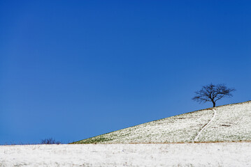 La geometria fatta paesaggio