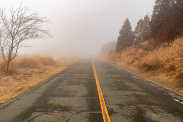 霧のかかった山道　先が見えない長い道路　冬の草が枯れた山